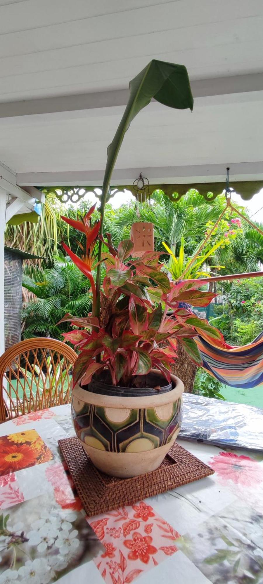 La Kaz Creole Villa Bouillante Buitenkant foto
